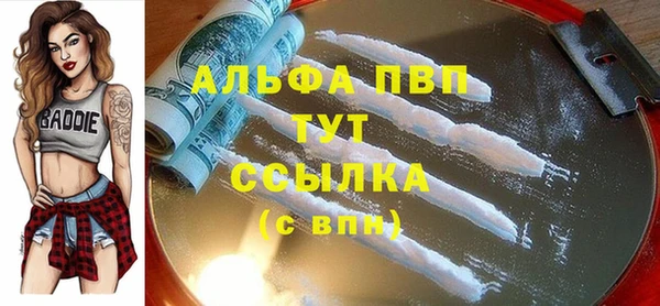 СК Михайлов