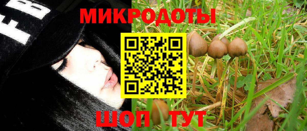 Галлюциногенные грибы прущие грибы Сатка